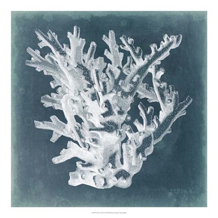 Framed Azure Coral I Print