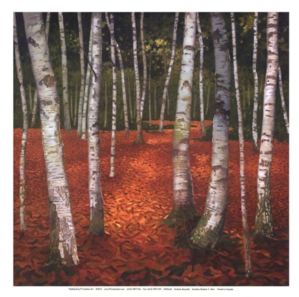 Framed Sunshine Shadow II - mini Print