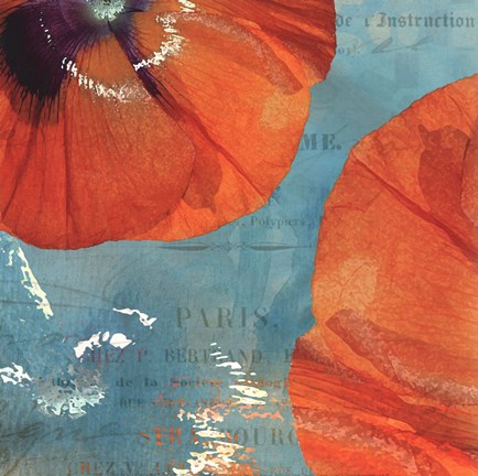 Framed Poppies in the Sky II Print