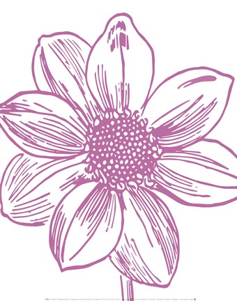 Framed Florette I Print