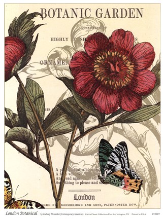 Framed London Botanical Print