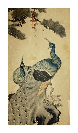 Framed Korean Peacocks Print