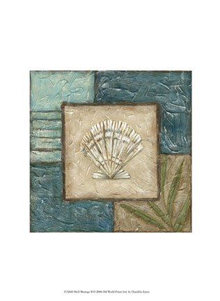 Framed Shell Montage II Print