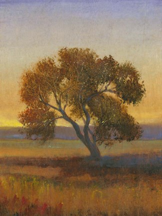 Framed Firelight I Print