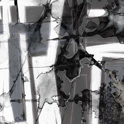 Framed In Motion IV Print