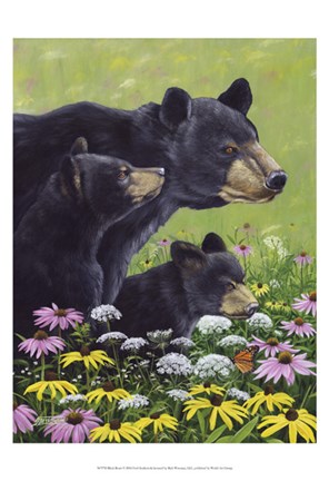 Framed Black Bears Print