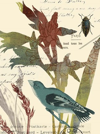 Framed Exotic Blossom II Print