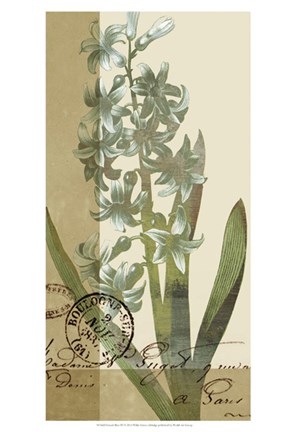 Framed French Blue IV Print