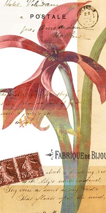 Framed Crowning Glory I Print