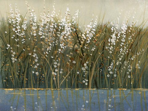 Framed By the Tall Grass I Print