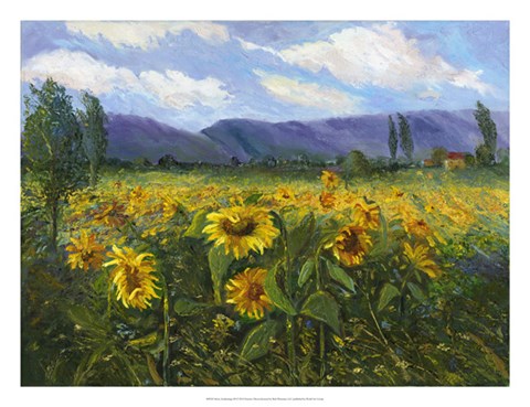 Framed Sierra Awakenings III Print