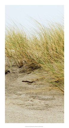 Framed Dunes III Print