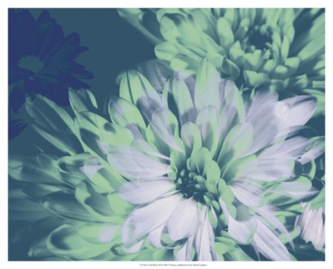 Framed Teal Bloom II Print