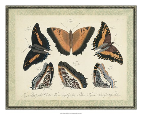 Framed Bookplate Butterflies Trio I Print