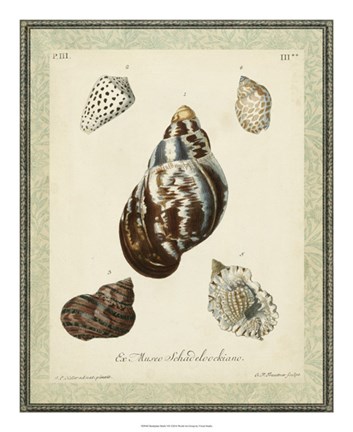 Framed Bookplate Shells VII Print