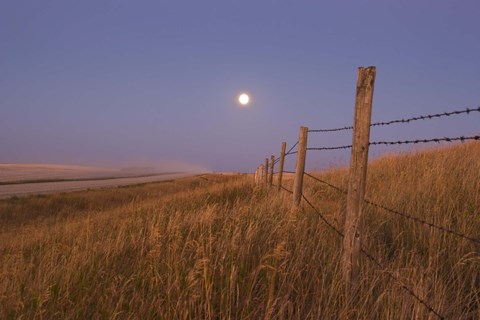 Framed Harvest Moon down the road, Gleichen, Alberta, Canada Print
