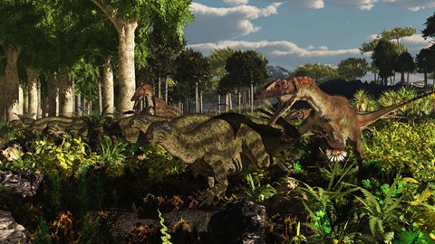 Framed Utahraptors hunting the early iguanodonts, Tenontosaurus Print