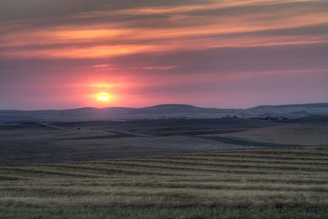 Framed Setting sun over harvested field, Gleichen, Alberta, Canada Print
