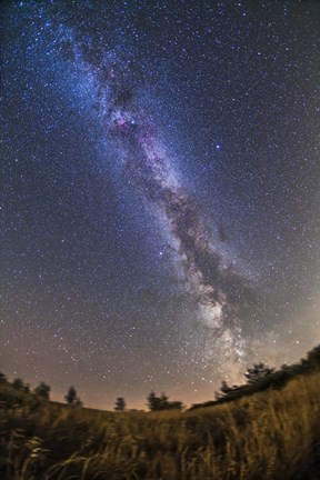 Framed summer Milky Way on a clear moonless evening in Alberta, Canada Print