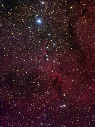 Framed Elephant&#39;s trunk nebula inside IC 1396 Print