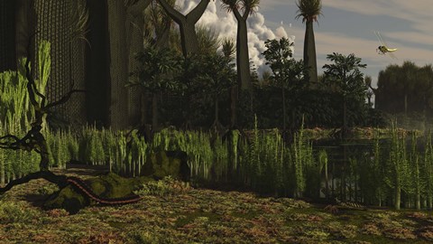 Framed Carboniferous forest of the Eastern United States 300 million years ago Print