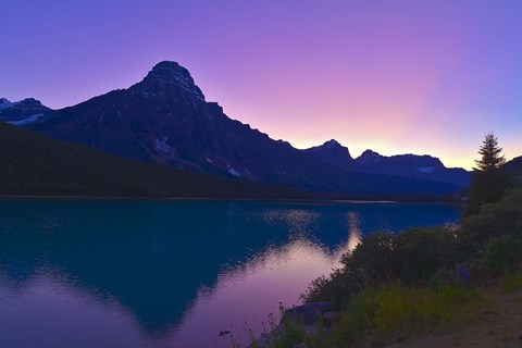 Framed Twilight at Mt Cephren, Waterfowl Lakes, Banff National Park, Alberta, Canada Print