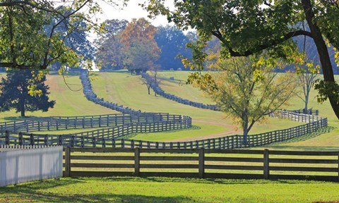 Framed Stacked Split-Rail Fences in Appomattox, Virginia Print