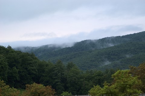 Framed Fog in the Mountains Print