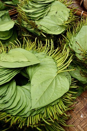 Framed Betel Leaves (Piper Betle) Used to Make Quids For Sale at Market, Myanmar Print