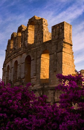 Framed Ancient Roman Amphitheater with flowers, El Jem, Tunisia Print