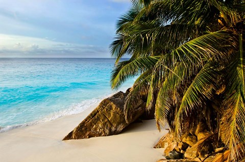 Framed Ansi Victorin Beach, Seychelles Print