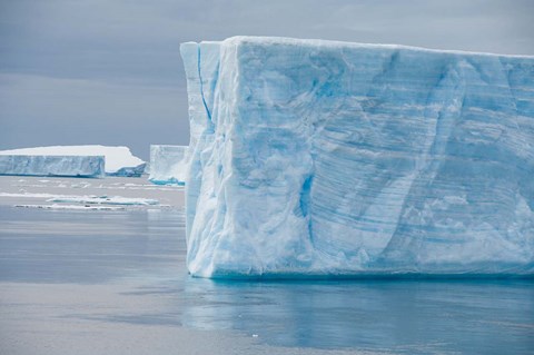 Framed Antarctica, Antarctic Sound. Tabular icebergs. Print