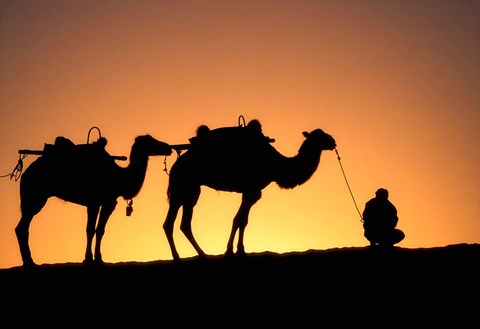 Framed Camel Caravan Silhouette at Dawn, Silk Road, China Print