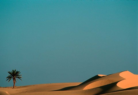 Framed Golden Mummies, Bahariya Museum, Valley of the Golden Mummies, Egypt Print