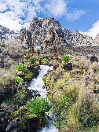 Framed Central Mount Kenya National Park, Kenya Print