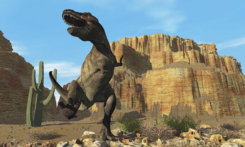 Framed T-Rex roars his defiance to all other dinosaurs in his territory Print