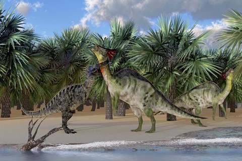 Framed Olorotitan mother is attacked by a Suchomimus dinosaur Print