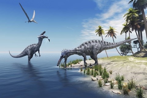 Framed Suchomimus dinosaurs feed on fish on the shoreline Print
