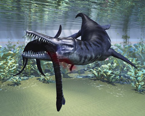 Framed Liopleurodon attacks a Plesiosaurus Print