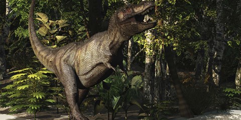 Framed mighty Tyrannosaurus Rex hunts for prey in a dense jungle Print