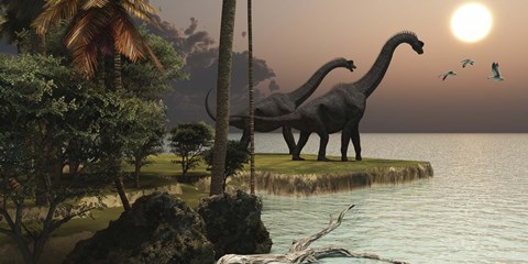 Framed Two Brachiosaurus dinosaurs enjoy a beautiful sunset Print