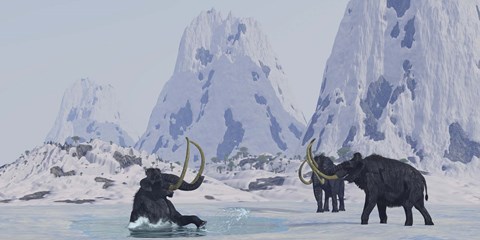 Framed Woolly Mammoth struggles for survival as he falls through ice on a frozen lake Print