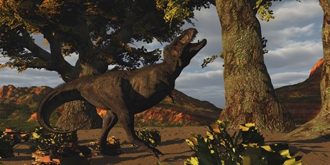 Framed T-Rex bellows in frustration Print