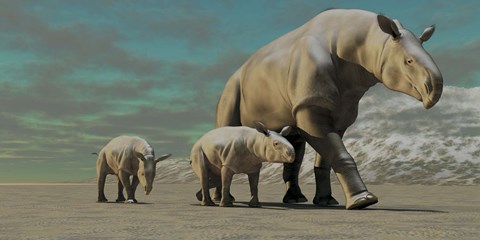 Framed Paraceratherium mother with two twin calves walks along a desert Print