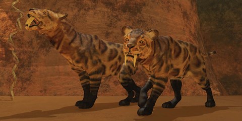 Framed Two Smilodon cats find protection in a vast cave system Print
