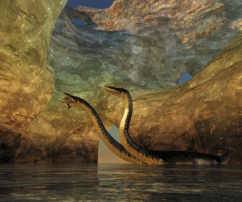 Framed Plesiosaurus captures a Eurhinosaurus marine reptile in a sea cave Print