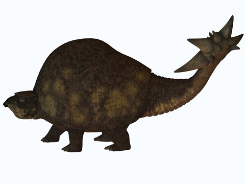 Framed large glyptodont from the Pleistocene epoch Print