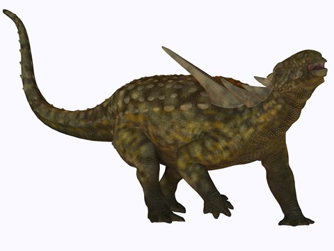 Framed Sauropelta, a herbivorous dinosaur from the Cretaceous Period Print