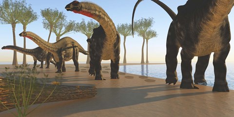 Framed herd of Apatosaurus dinosaurs Print