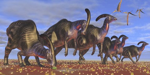 Framed herd of Parasaurolophus dinosaurs searching for vegetation Print